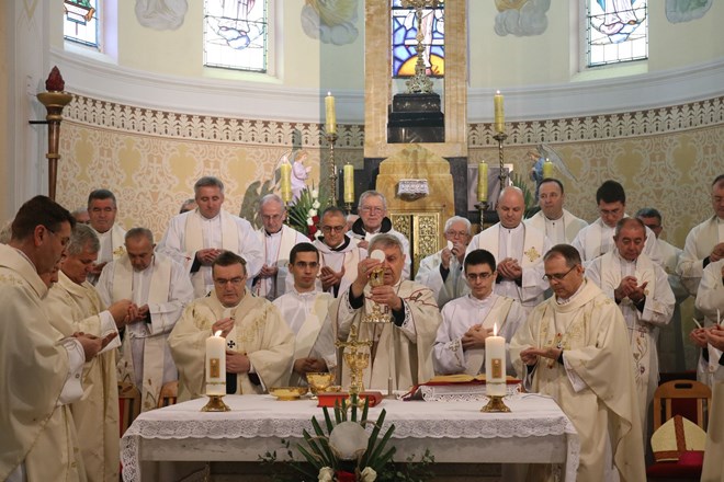 Varaždinski biskup u miru mons. Josip Mrzljak u Krašiću proslavio zlatnu misu - 50 godina svećeništva